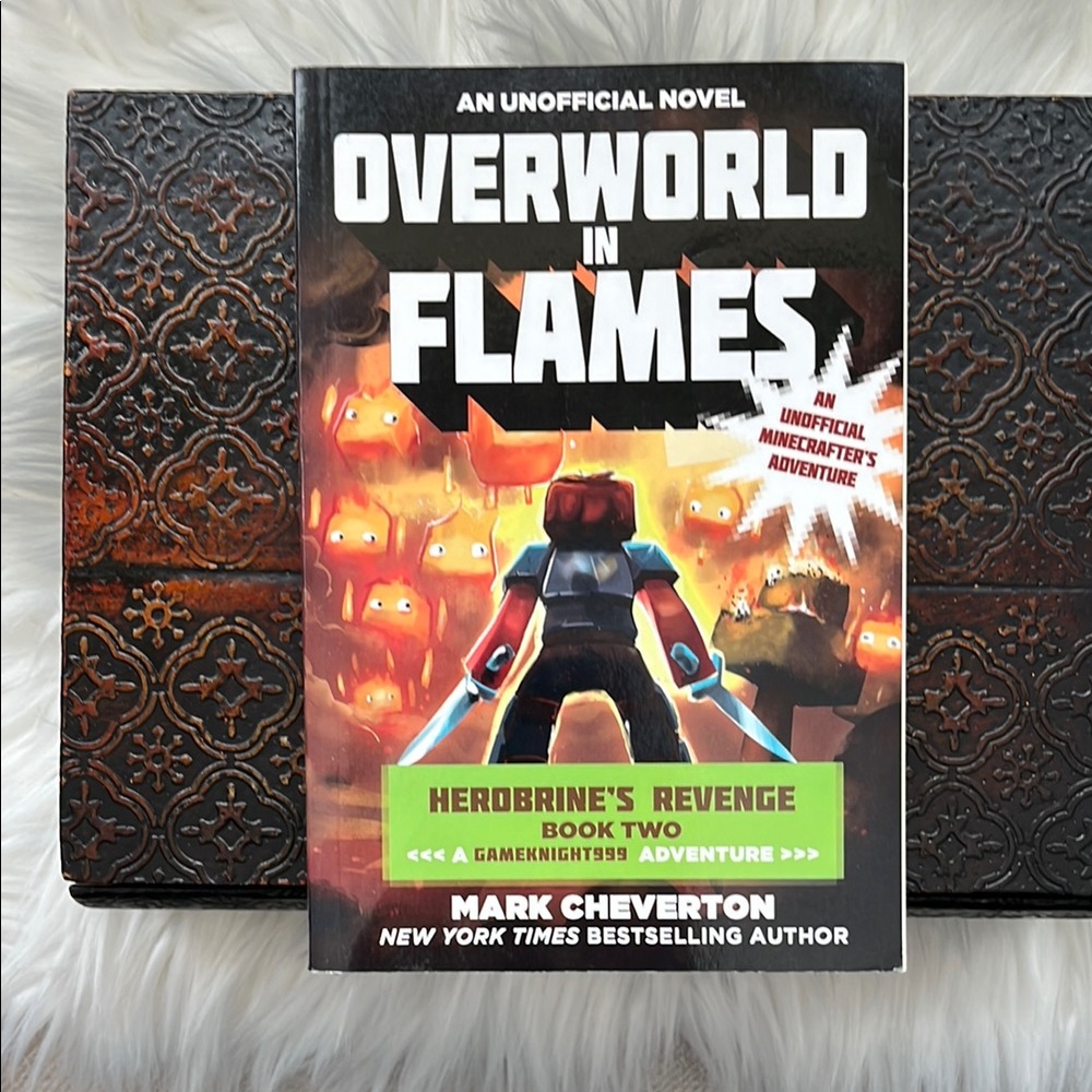 Overworld in Flames Book